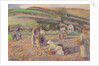The Potato Harvest, 1886 by Camille Pissarro