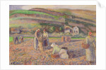 The Potato Harvest, 1886 by Camille Pissarro