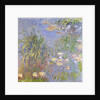 Water-Lilies, Cluster of Grass, 1914-17 by Claude Monet