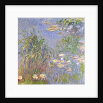 Water-Lilies, Cluster of Grass, 1914-17 by Claude Monet
