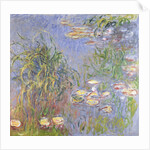Water-Lilies, Cluster of Grass, 1914-17 by Claude Monet