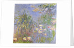 Water-Lilies, Cluster of Grass, 1914-17 by Claude Monet