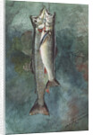 Two Trout, 1891 by Winslow Homer