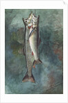 Two Trout, 1891 by Winslow Homer