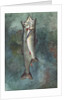 Two Trout, 1891 by Winslow Homer