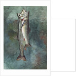 Two Trout, 1891 by Winslow Homer
