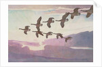 Canada Geese in Spring, 1941 by Newell Convers Wyeth