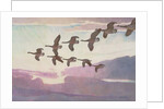 Canada Geese in Spring, 1941 by Newell Convers Wyeth
