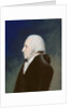 George Washington, 1795 by James Sharples