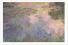 The Water-Lily Pond, c.1917-20 by Claude Monet