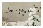 Crows in Winter, 1941 by Newell Convers Wyeth