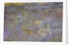 The Water-Lily Pond, c.1917-20 by Claude Monet