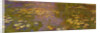 Water Lilies, c.1915-26 by Claude Monet
