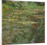 Waterlilies or The Water Lily Pond 1904 by Claude Monet