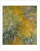 The Path through the Irises, 1914–17 by Claude Monet