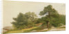 Study for Trees on Beverly Coast by John Frederick Kensett