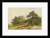 Study for Trees on Beverly Coast by John Frederick Kensett