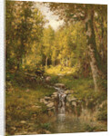 Pool in the Woods, 1880 by Alexander Helwig Wyant