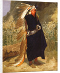 Portrait of an Indian Chief, 1875 by Valentine Walter Lewis Bromley