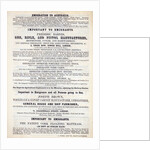 Poster advertising emigrant services by English School