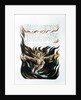 America a Prophecy by William Blake