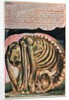 Book of Urizen; the creation of Urizen in material form by Los, 1794 by William Blake