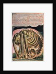 Book of Urizen; the creation of Urizen in material form by Los, 1794 by William Blake