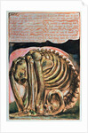 Book of Urizen; the creation of Urizen in material form by Los, 1794 by William Blake