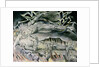 Job's Evil Dreams by William Blake