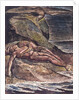 Milton a Poem: Albion on the rock, 1804 by William Blake