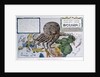 A Humorous Diplomatic Atlas of Europe and Asia, depicting Russia as the 'Black Octopus', 1904 by German School