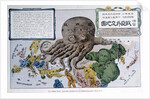 A Humorous Diplomatic Atlas of Europe and Asia, depicting Russia as the 'Black Octopus', 1904 by German School