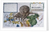A Humorous Diplomatic Atlas of Europe and Asia, depicting Russia as the 'Black Octopus', 1904 by German School