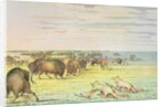 Stalking buffalo by George Catlin