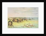 Stalking buffalo by George Catlin