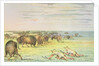 Stalking buffalo by George Catlin