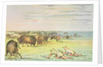 Stalking buffalo by George Catlin