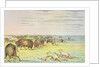 Stalking buffalo by George Catlin