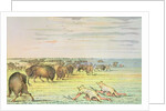 Stalking buffalo by George Catlin