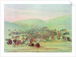 Minatarees attacking buffalo on horseback by George Catlin