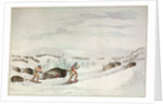 Hunting buffalo on snow-shoes by George Catlin