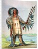 Mandan Indian Ha-Na-Tah-Muah, Wolf chief by George Catlin
