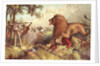 Livingstone attacked by the Lion by Anonymous