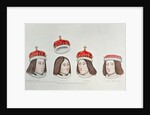 Heads of the portraits of english kings, 1784 by Anonymous