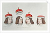 Heads of the portraits of english kings, 1784 by Anonymous