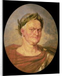 The Emperor Vespasian by Peter Paul Rubens