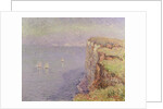 Cliffs in Normandy, 1901 by Gustave Loiseau