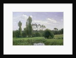 View at Rouelles, 1858 by Claude Monet