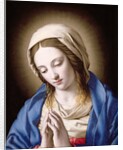 The Madonna Praying by Il Sassoferrato