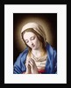 The Madonna Praying by Il Sassoferrato